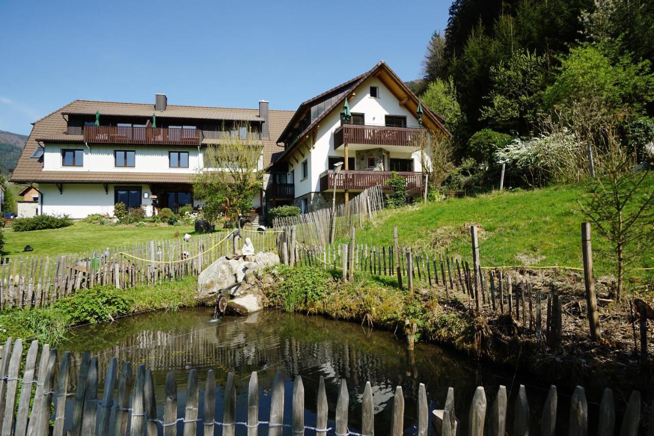 Rohrhardsberg - Stubenhof, Black Forest *
