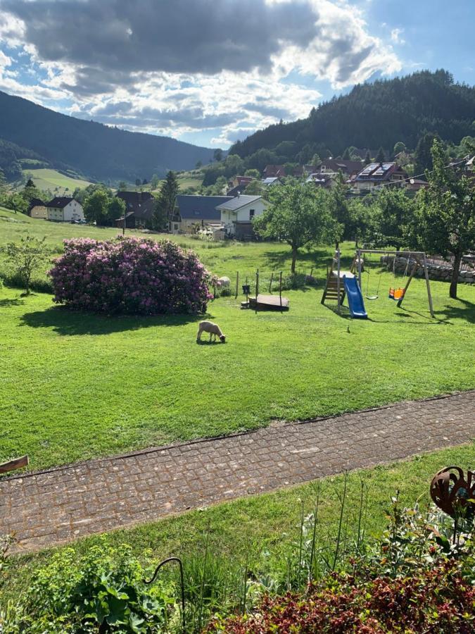 Rohrhardsberg - Stubenhof, Black Forest *
